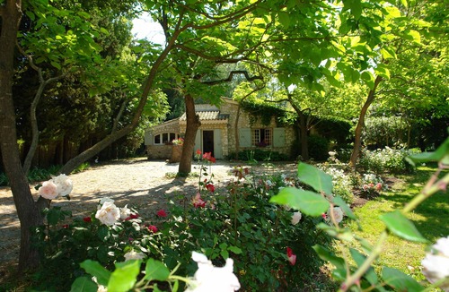 Eygalieres House | A lush garden near one of Provence's most beautiful villages