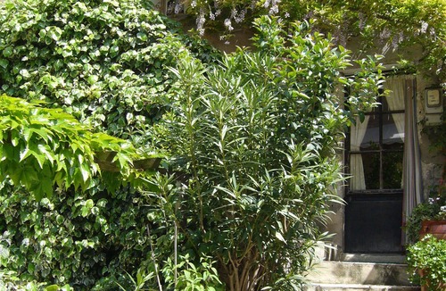 Nissan-lez-Enserune Apartment | Apartment 5 people center village