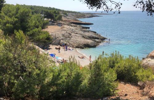 Sausset-les-Pins Apartment | Appart-villa Les 2 pins