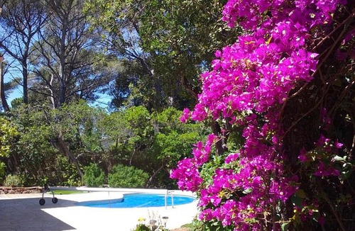 Boulouris-sur-Mer Apartment | Appartement dans Villa St Raphael