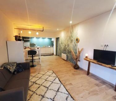Compeyre Apartment | appartement hôtes entier Millau Compeyre