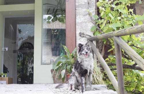 Bleggio Superiore Bed & Breakfast | B&B Casa Gori