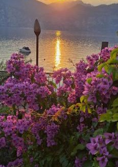 Malcesine Hotel | B&B Casa Sartori