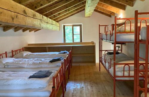 Lomaso Ski Chalet | Baita Misonet