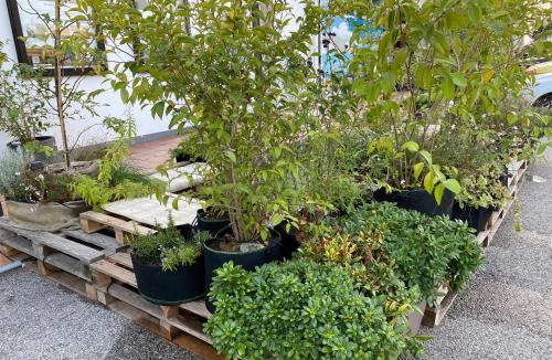 Codevigo House | Balabuska Rooms & Garden