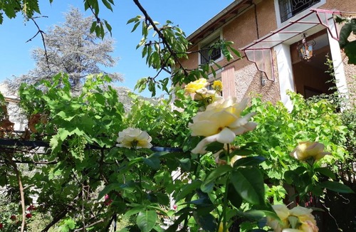 Digne-les-Bains Apartment | Beautiful apartment in Provençal residence with garden and WiFi