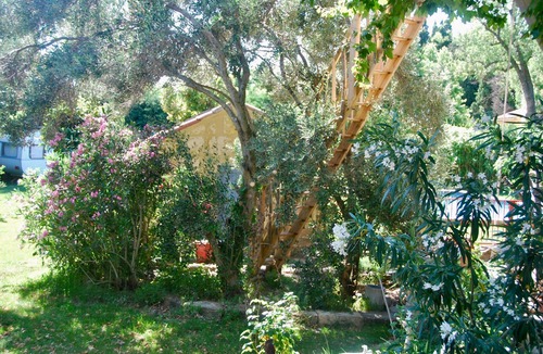 Salon-de-Provence Cabin | Cabin in the plane tree, swimming pool, trampoline