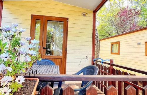 Montefiascone Other | CAMPING AMALASUNTA