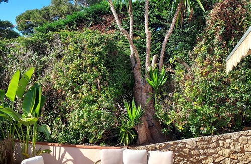 Cap-d'Antibes Apartment | Cap D'Antibes sea, swimming pool, 2 large terraces, nature and pines