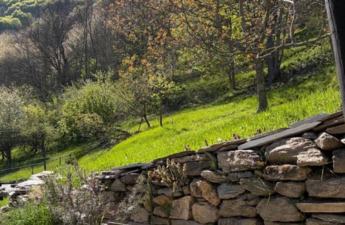 San Damiano Macra Ski Chalet | Casa del Bosco