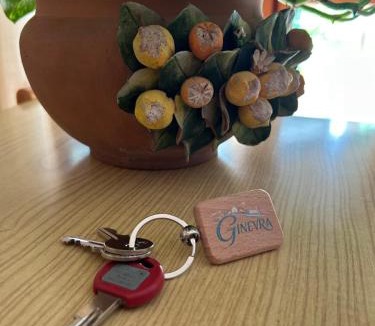 Borgo Milano Apartment | Casa Vacanze Ginevra