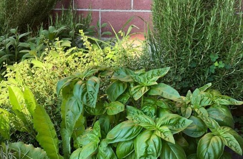 Fossano Bed & Breakfast | Cascina Giardina