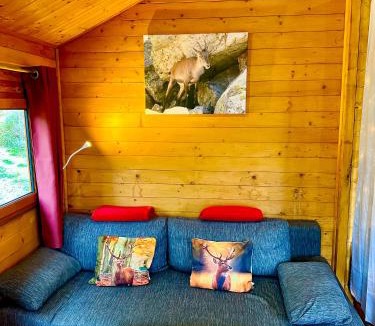 Luceram Ski Chalet | Chalet sur pilotis avec piscine privée