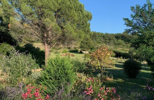 Apt Bed & Breakfast | Chambre d'hôtes Le Cèdre
