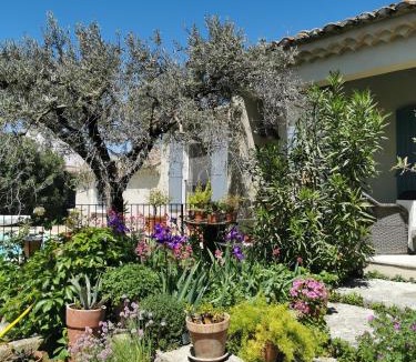 Eyragues Bed & Breakfast | Chambre dans verdure Provençale