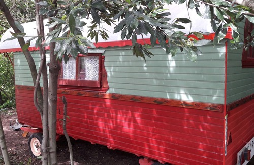 Vallauris Cabin | Charming caravan in a green setting near the beach