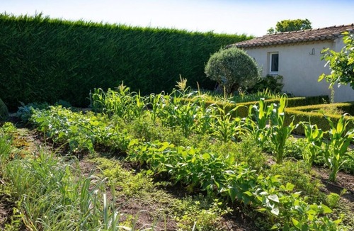 Molleges Cottage | Charming Provençal Farmhouse with lovely views to Alpilles, private tennis court
