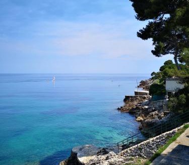 Roquebrune-Cap-Martin Apartment | Chez Fifine