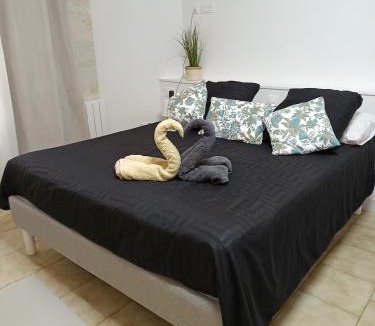Arles City Centre Apartment | Cosy Arles