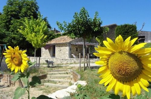 Reillanne Cottage | Cottage in the countryside in the heart of the Luberon