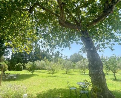 Maussane Bed & Breakfast | Domaine Au Coeur des Alpilles