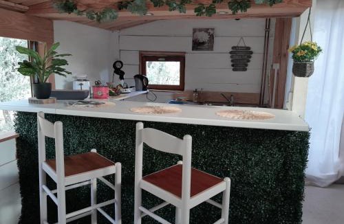 Lorgues House | Domaine d'Avalon
