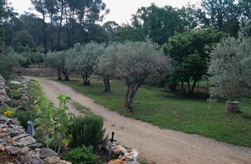 Lorgues House | Domaine d'Avalon