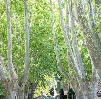St.-Remy-de-Provence Bed & Breakfast | Domaine de Chalamon - Fontenille Collection