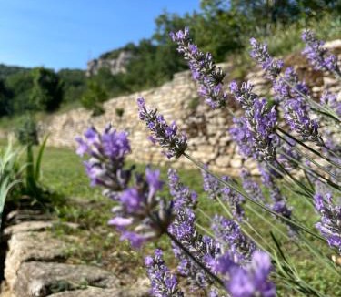 Apt Villa | Domaine des Druides