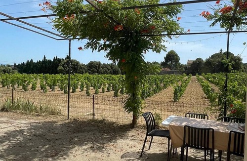 Courthezon House | Entre Deux Vignes - An idyllic setting for families and groups