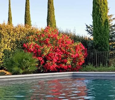 Cavaillon Bed & Breakfast | Faré Tchanqué cuisine d'été PRIVATIVE clim piscine parking wifi gratuits