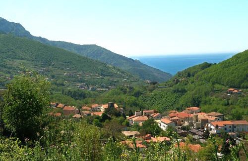 Campinola Bed & Breakfast | Farfalle e Gabbiani