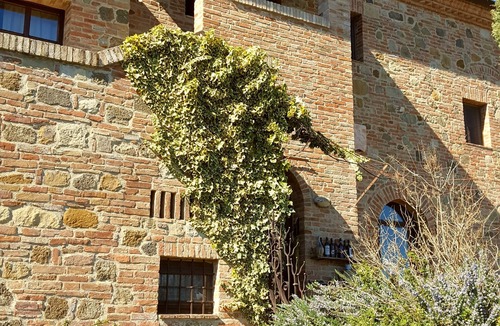 Buonconvento Apartment | FARMH. PODERE CUNINA 25 KM SUD SIENA DI FRONTE AL MONTALCINO PRENDENDO LEZIONI DI CUCINA
