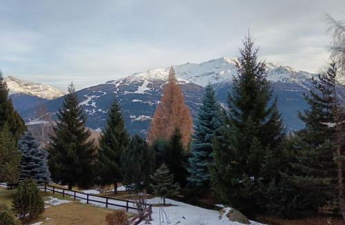 Oga Apartment | Fiocco di neve
