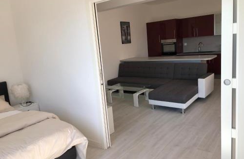 Carros Apartment | French Riviera near Nice Monaco, Apartments in Villa, Sea Montain View