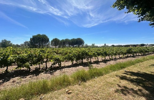 Aigues-Mortes Apartment | Gîte de la Cave Charme provençal avec jardin à Aigues-Mortes