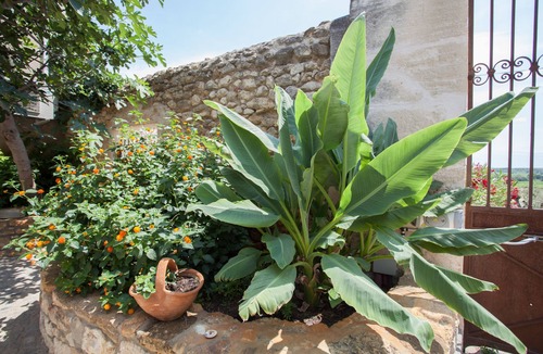 Puimisson House | Gites la Demeure