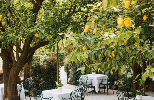 Sorrento Historic Centre Hotel | Grand Hotel La Favorita