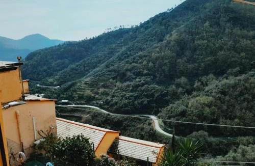 Lavaggiorosso Apartment | Grecale