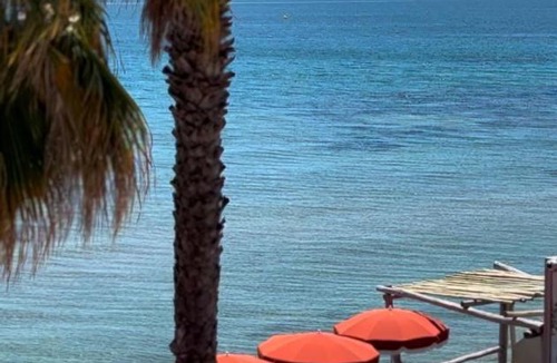 Hyeres Hotel | Hôtel Bor