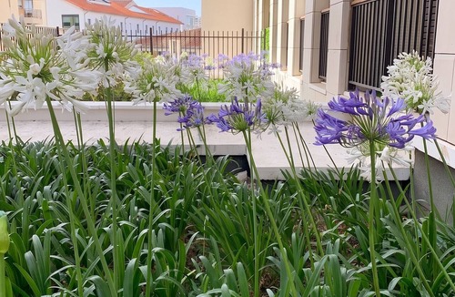 Saint-Victor Apartment | Homerez - Apartment in Marseille, garden view