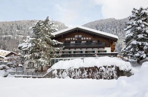 Colle Isarco Hotel | Hotel Erna