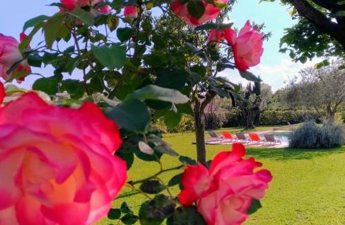 Tourrettes Bed & Breakfast | L'Escale Provençale