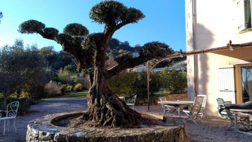 Tourrettes Bed & Breakfast | L'Escale Provençale