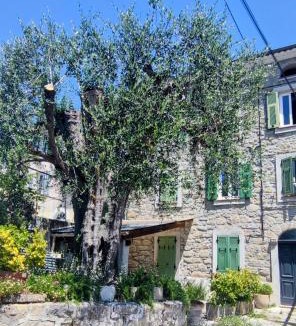 Contes Apartment | L'olivier de Jeanine