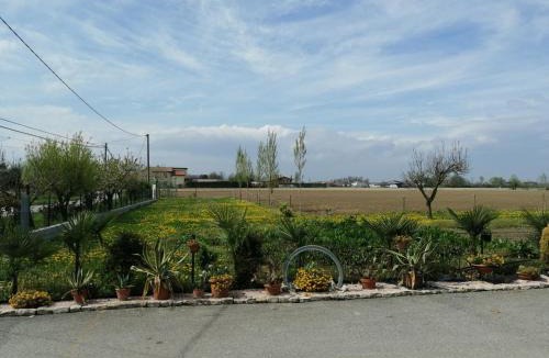 Codevigo House | LA CARLOTTINA