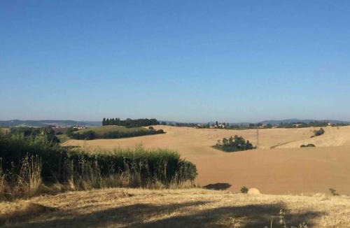 Siena House | LA DOGANA .