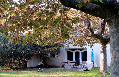 Arles House | La FENIERE, Gite du Mas de la Vigne in Camargue