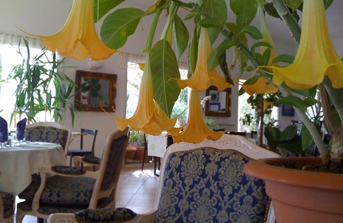 Vidauban Hotel | La Fontaine