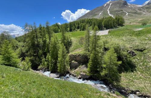 Allos Apartment | La foux d allos